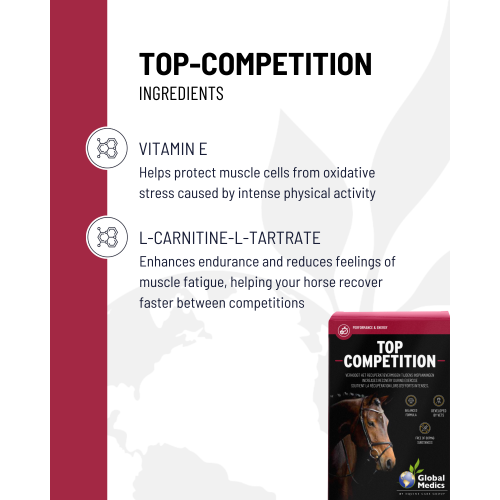 top-competition-4