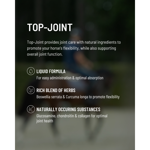 top-joint-fall-2