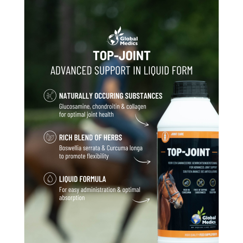 top-joint-focus