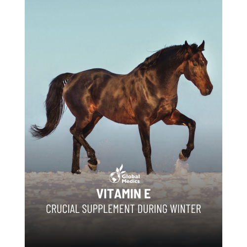 vitamin-e-winter-1_1174204179