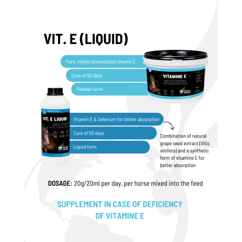 vitamin-e-winter-3_1371694499