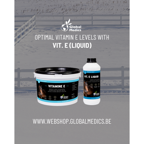 vitamin-e-winter-4_1378234397