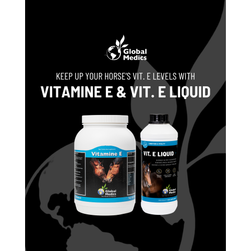 vitamine-e-1_1651717987